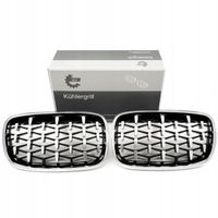 Grill bmw diament, srebrny, bmw x5 e70 - SKV ESEN 66SKV293