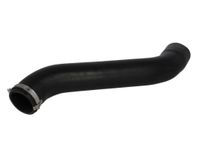 Przewód chłodnicy powietrza - THERMOTEC DCW051TT