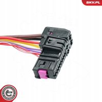 Wtyczka wiązki elektrycznej - SKV ESEN 53SKV125 — zdjęcie 4