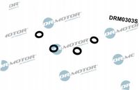Oring przelewu ford focus 1,8tdci 03- (kpl=4szt) - ASTA DRM0303S