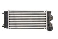 Chłodnica powietrza dolotowego - THERMOTEC DAC012TT