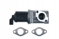 Zawór egr - NTY EGR-AR-002