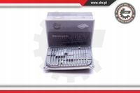 Moduł Full LED - SKV ESEN 59SKV048