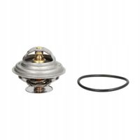 Termostat cieczy chłodzącej - THERMOTEC D2A003TT
