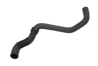 Przewód gumowy układu chłodzenia - THERMOTEC DWC034TT