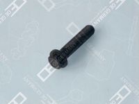 Śruba stopki korbowodu - OE 01 0311 366000