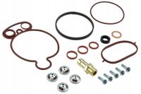 Zestaw naprawczy pompy vacuum - NTY PVP-VW-005