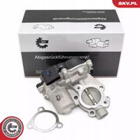 Zawór EGR - SKV ESEN 14SKV281