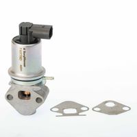 Zawór egr - BorgWarner WA710778D