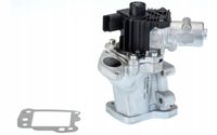 Zawór egr - BorgWarner WA710975D