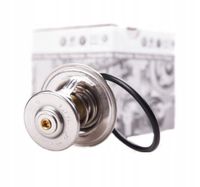 Termostat oe 044121113
