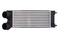 Chłodnica powietrza dolotowego - THERMOTEC DAC013TT