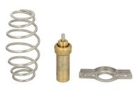 Termostat cieczy chłodzącej - THERMOTEC D2IV008TT