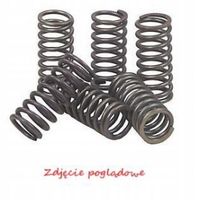 Sprężyny sprzęgłowe moto. yamaha wr 426 fn/fp (4t) (01… - EBC Brakes CSK062 — zdjęcie 2