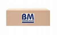 Katalizator - BM CATALYSTS BM92289H