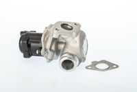 Zawór egr - BorgWarner WA711021D