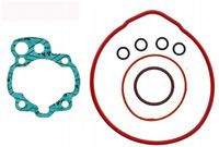 Zestaw uszczelek top end moto. serie guar.testa.am6 - RMS 10 068 9670