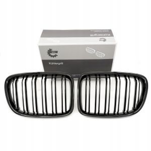 Atrapa chłodnicy grill/nerki l+p - SKV ESEN 66SKV233