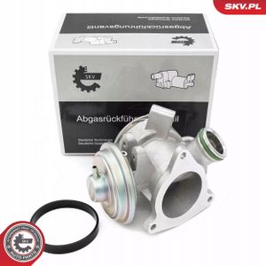 Zawór EGR - SKV ESEN 14SKV242