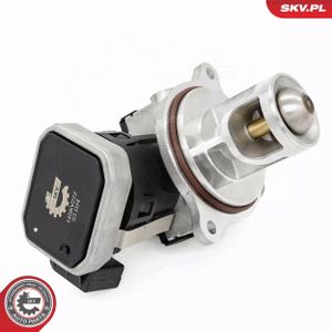 Zawór EGR - SKV ESEN 14SKV272