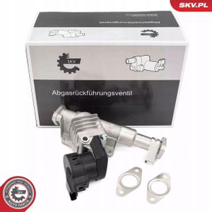 Zawór EGR - SKV ESEN 14SKV287