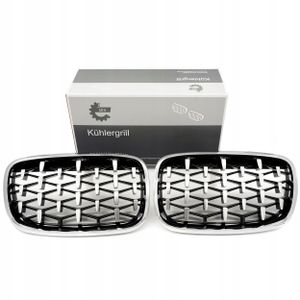 Grill bmw diament, srebrny, bmw x5 e70 - SKV ESEN 66SKV293
