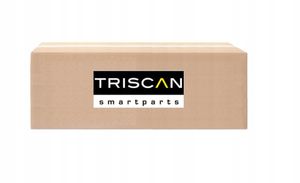 Zestaw Śrub wahacza skoda 1,8-2,0 99- - TRISCAN 8500 29405