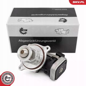 Zawór EGR - SKV ESEN 14SKV272