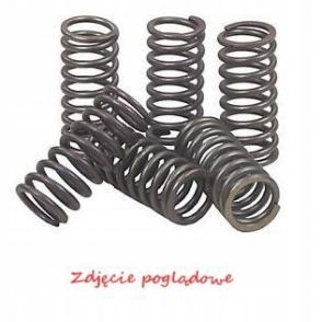 Sprężyny sprzęgłowe moto. yamaha wr 426 fn/fp (4t) (01… - EBC Brakes CSK062