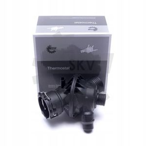 Termostat kompletny z obudową - SKV ESEN 20SKV181