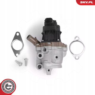 Zawór EGR - SKV ESEN 14SKV313