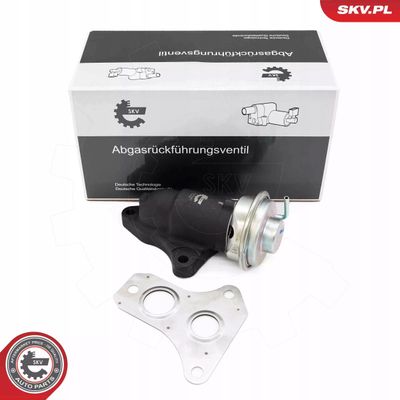 Zawór EGR - SKV ESEN 14SKV263