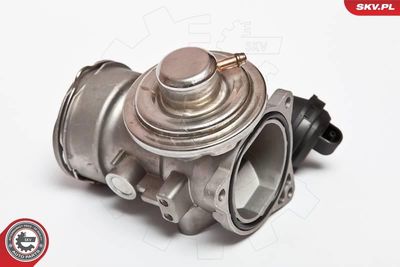 Zawór EGR Audi/VW 1.9 TDI - SKV ESEN 14SKV024