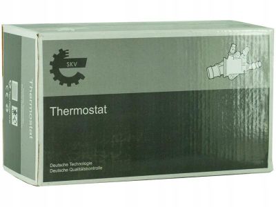 Termostat kompletny z obudową - SKV ESEN 20SKV117