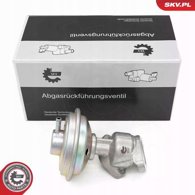 Zawór EGR - SKV ESEN 14SKV258