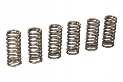Sprężyny sprzęgłowe moto. honda crf 450 r9/ra (09-10) - EBC Brakes CSK157