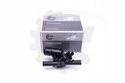 Termostat kompletny z obudową - SKV ESEN 20SKV093