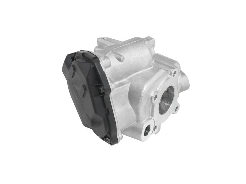 Zawór egr - BorgWarner WA712019D