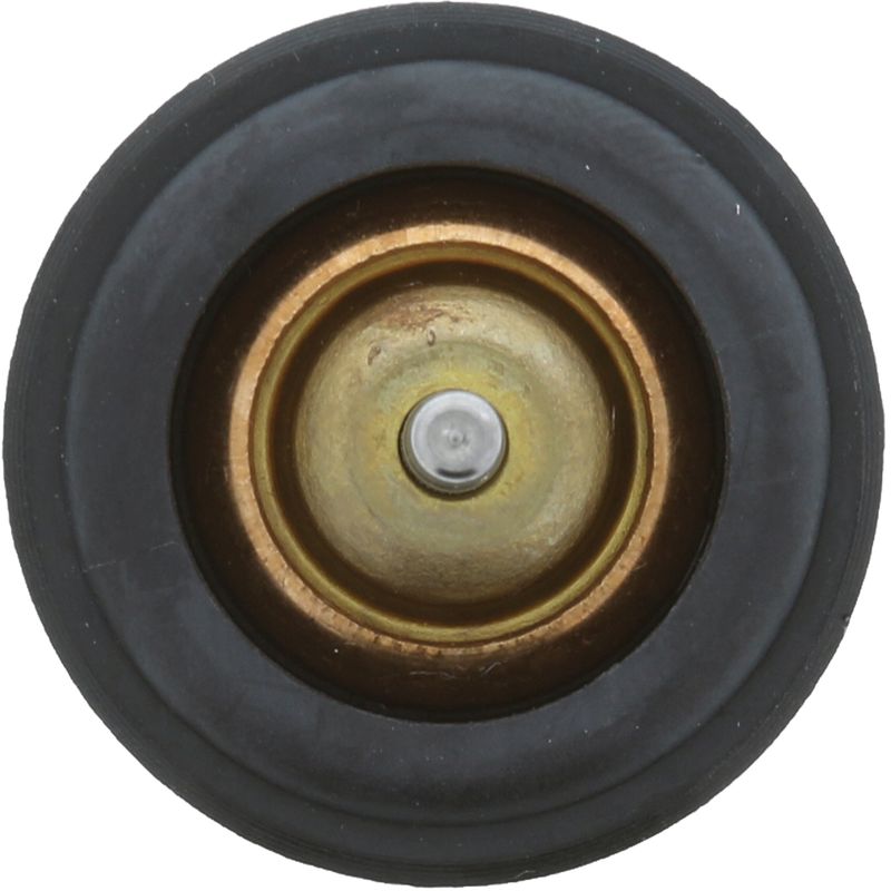 Termostat cieczy chłodzącej - MOTORAD 973-105K