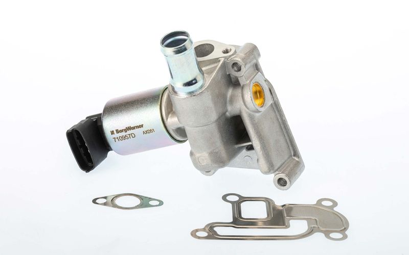 Zawór egr - BorgWarner WA710957D