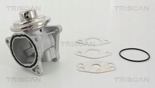 Zawór egr vw 1,9tdi/2,0tdi - TRISCAN 8813 29111