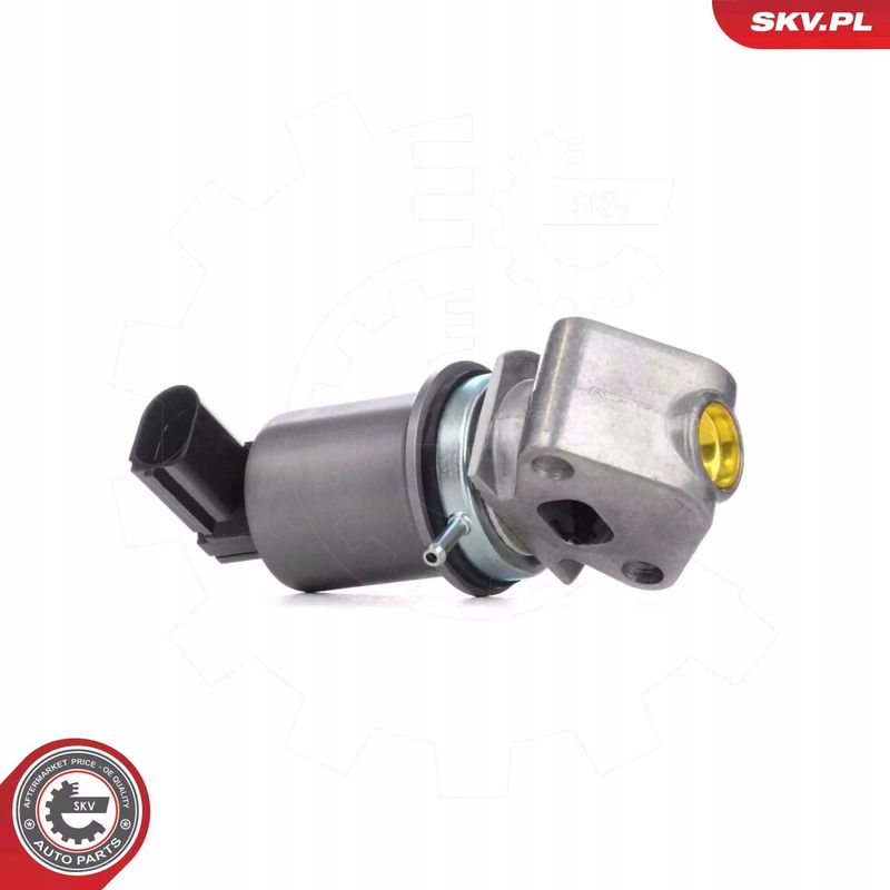 Zawór EGR - SKV ESEN 14SKV293