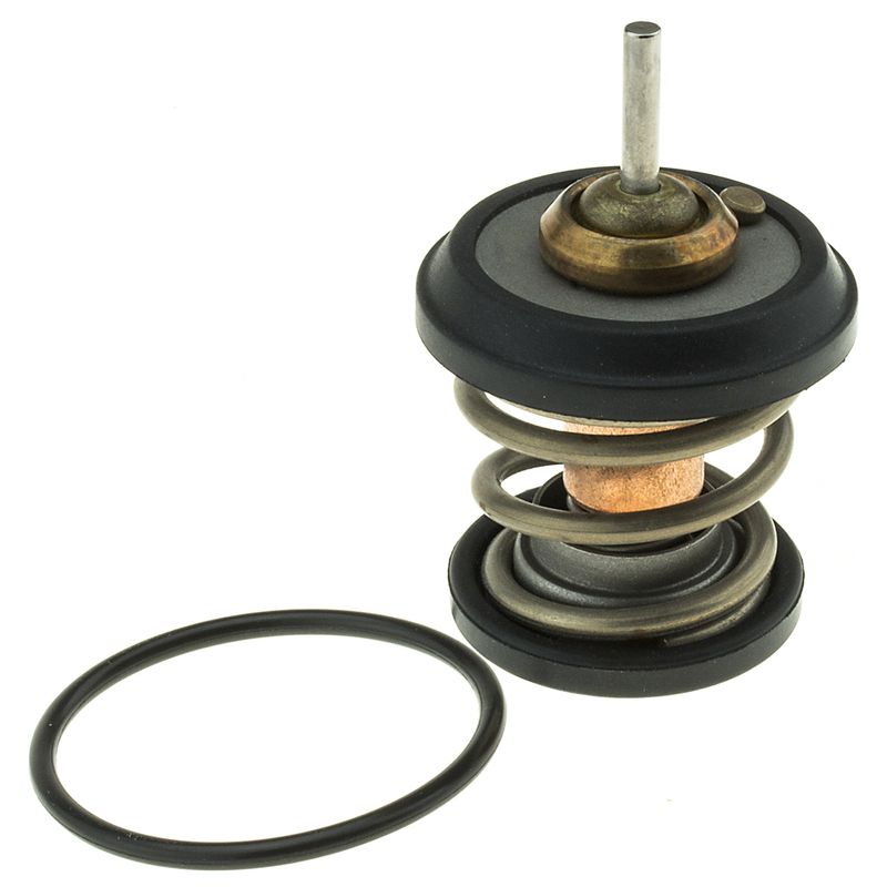 Termostat cieczy chłodzącej - MOTORAD 707-95K