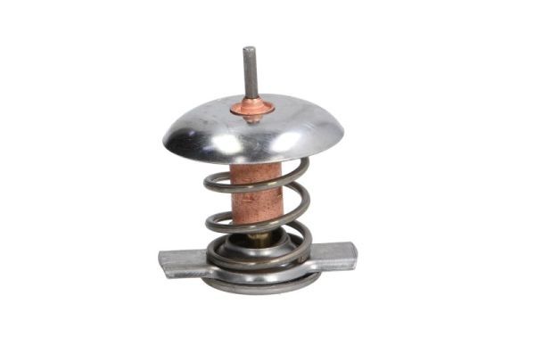 Termostat cieczy chłodzącej - THERMOTEC D2X005TT