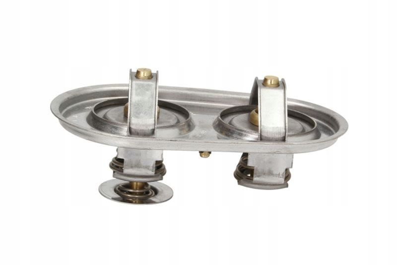 Termostat cieczy chłodzącej - THERMOTEC D2SC009TT