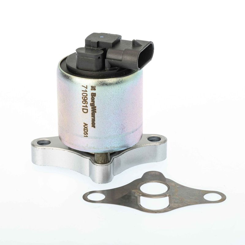 Zawór egr - BorgWarner WA710961D