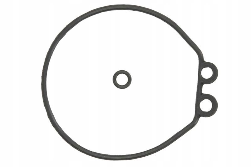 O-ring gaźnika - SIERRA 18-2480