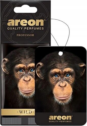 Zapach areon wild professor AREAW04