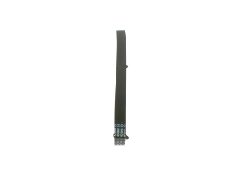 Pasek klinowy wielorowkowy - BOSCH 1 987 946 084