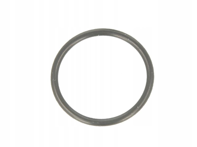Oring skrzyni biegów - ZF 0734 313 846